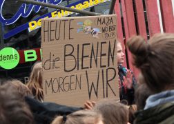FridaysForFuture In Jena 0007